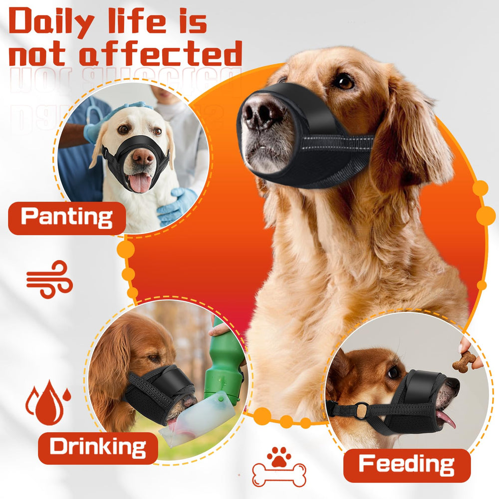 TZBEINN XXL muzzle shown during walk with secure fit and bite prevention.