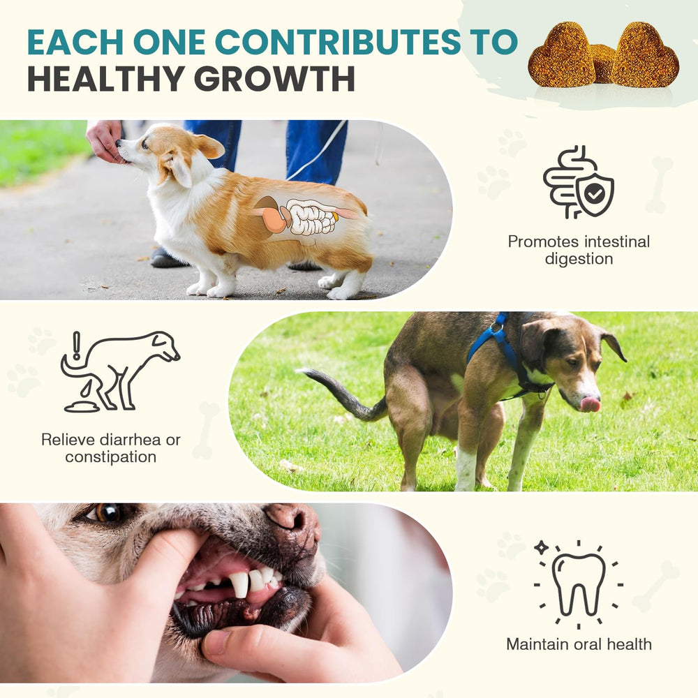 TzzyiC probiotics chews close-up showing texture and chicken flavor for daily use.