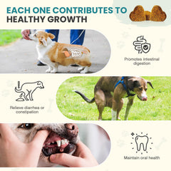 TzzyiC probiotics chews close-up showing texture and chicken flavor for daily use.
