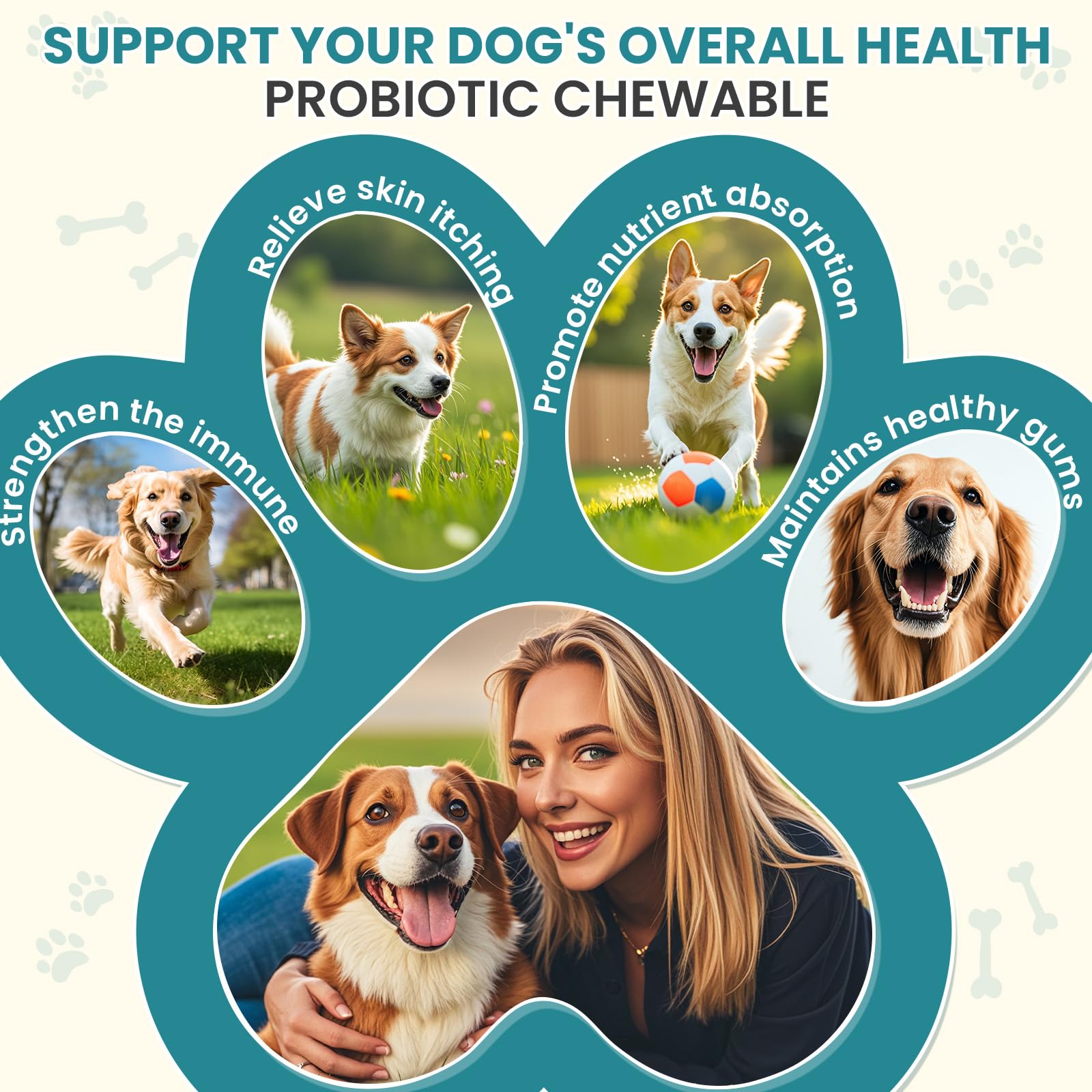 TzzyiC dog enjoys chew as a tasty digestive support treat.