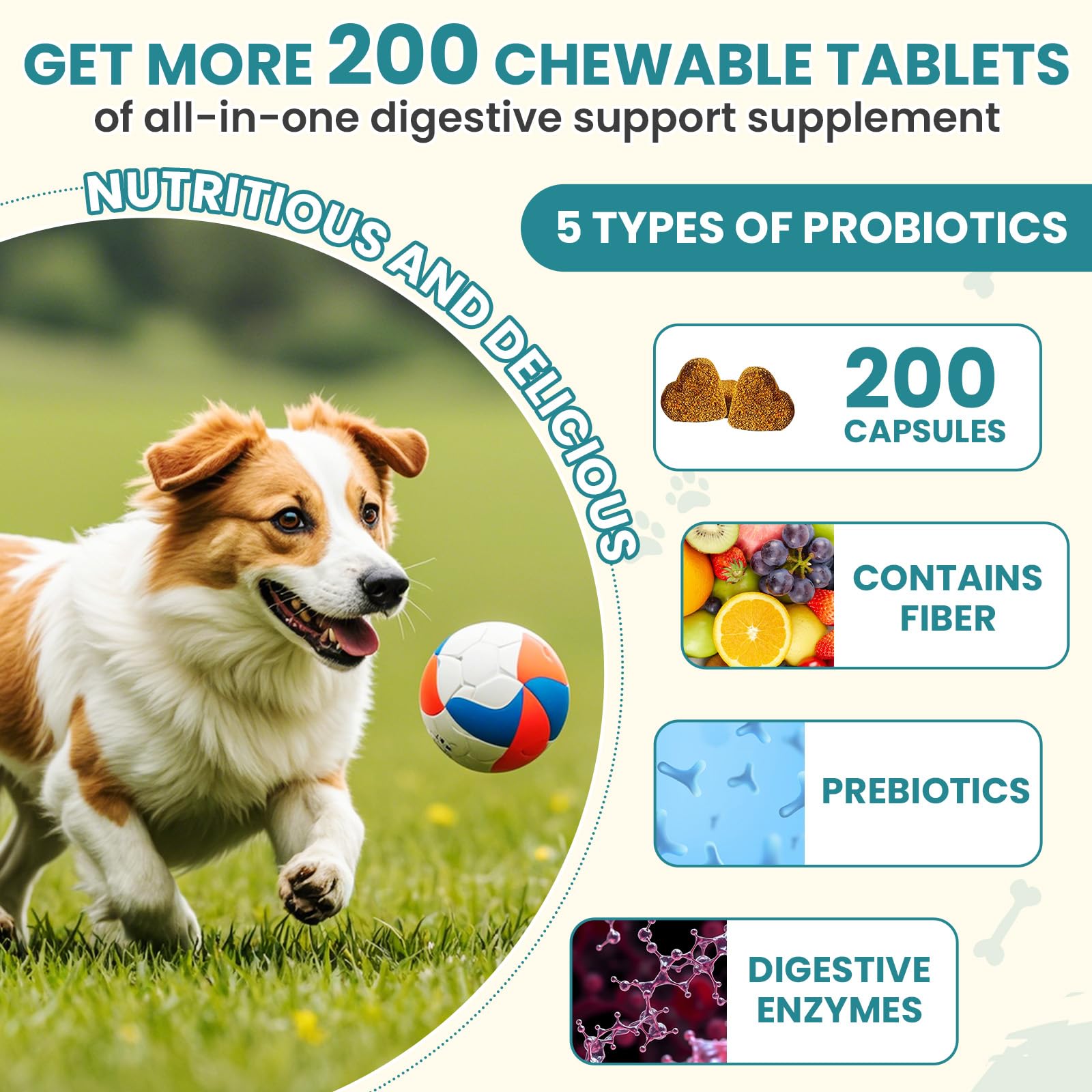 TzzyiC probiotics ingredients pumpkin and inulin signaling gut-friendly prebiotics.