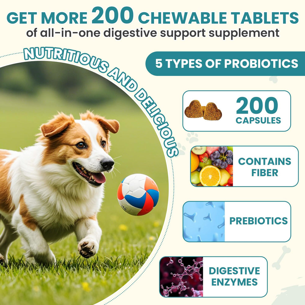 TzzyiC probiotics ingredients pumpkin and inulin signaling gut-friendly prebiotics.