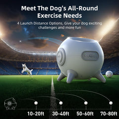 uahpet obstacle-detection sensor ensuring safe fetch sessions for pets