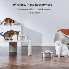 uahpet Wireless Cat Water Fountain water level window closeup for quick hydration checks.