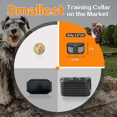UbaNinva two-dogs-two-collars-one-remote setup for simultaneous training.