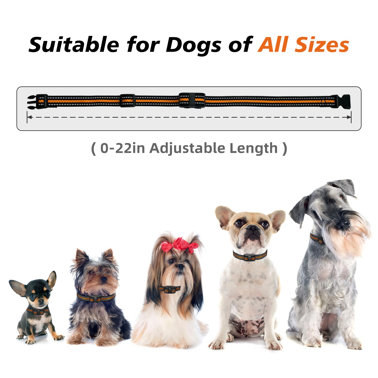 UbaNinva tiniest dog shock collar soft rubber contacts close-up for comfort
