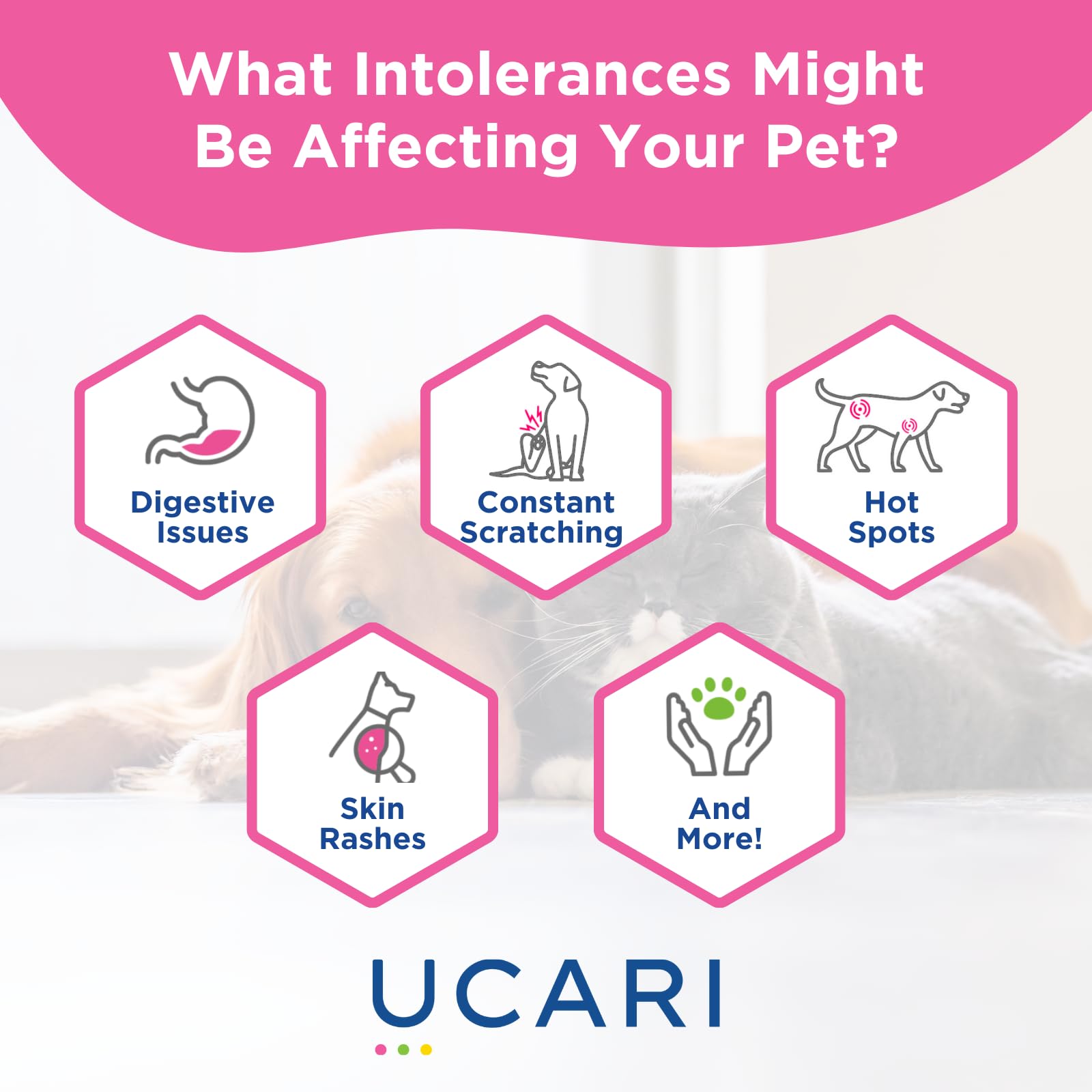 UCARI Pet Sensitivity Test in-use-cat-dog image shows practical care steps.