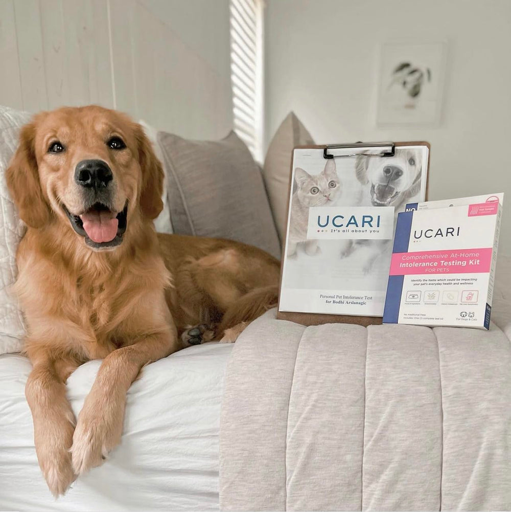 UCARI Pet Sensitivity Test success-stories photo highlights informed pet-care decisions.