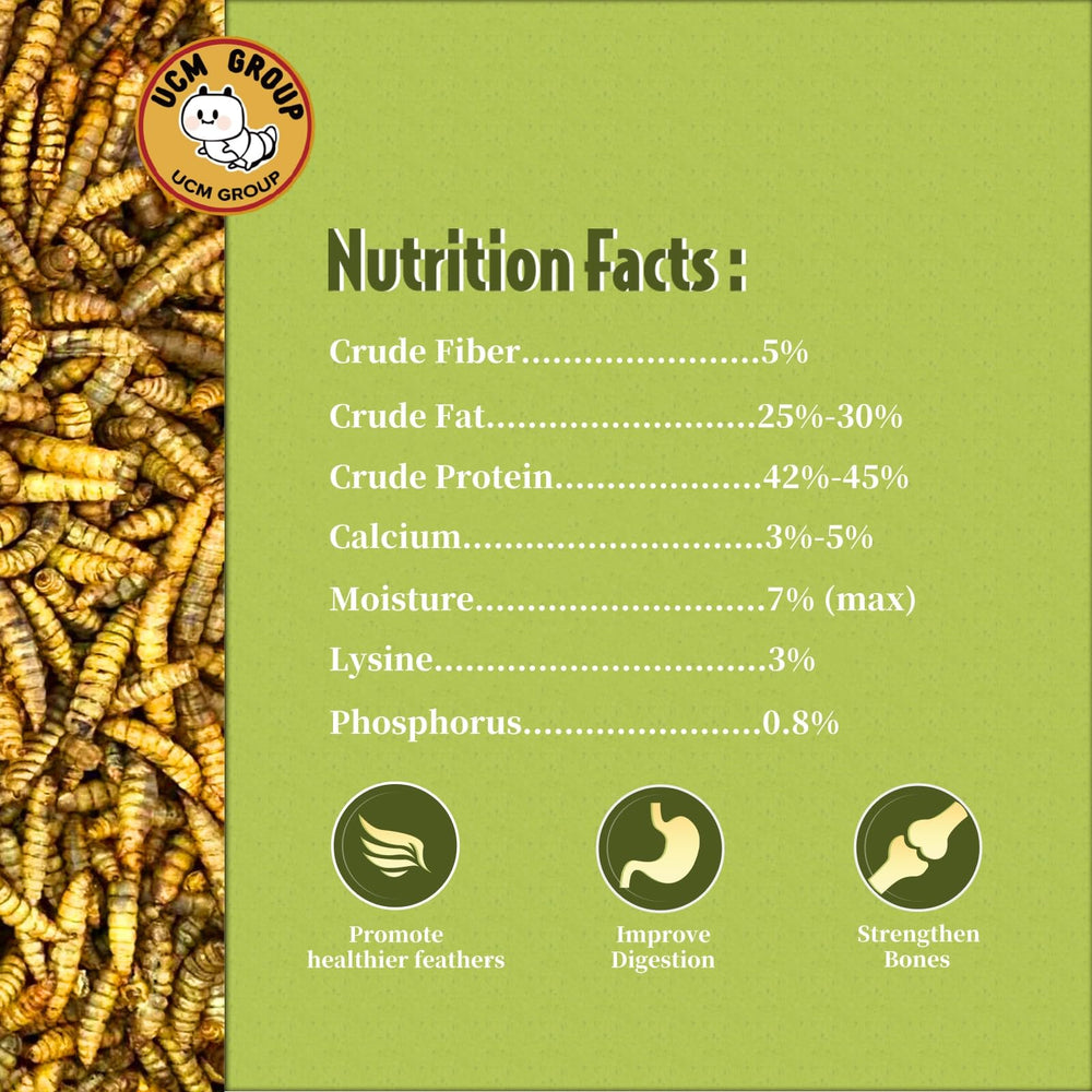 UCM Group 5lb dried BSFL wild-birds-snack photo demonstrates additive-free, natural backyard bird treats