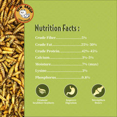 UCM Group 5lb dried BSFL wild-birds-snack photo demonstrates additive-free, natural backyard bird treats