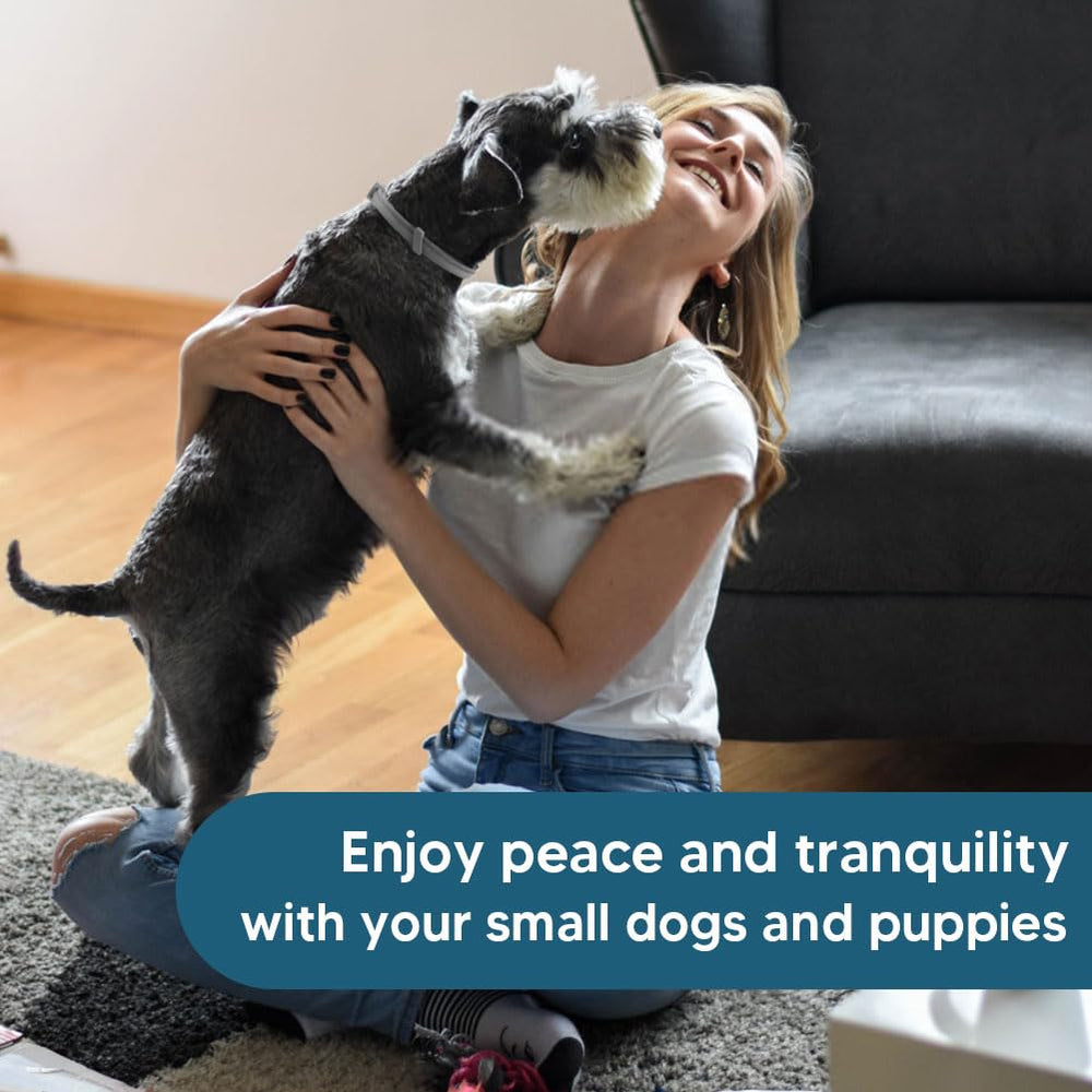 UDyoude flea collar promo emphasizes up to 8 months of protection