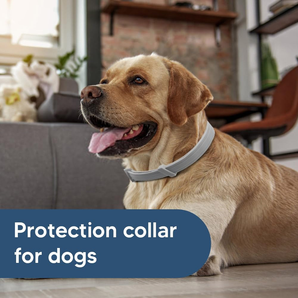 UDyoude flea collar adjustable fit ensures comfortable wear for all dog sizes.