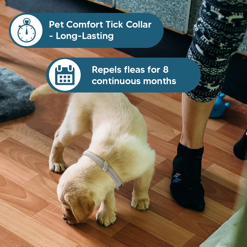UDyoude flea collar on playful puppy demonstrates gentle pest-focused design