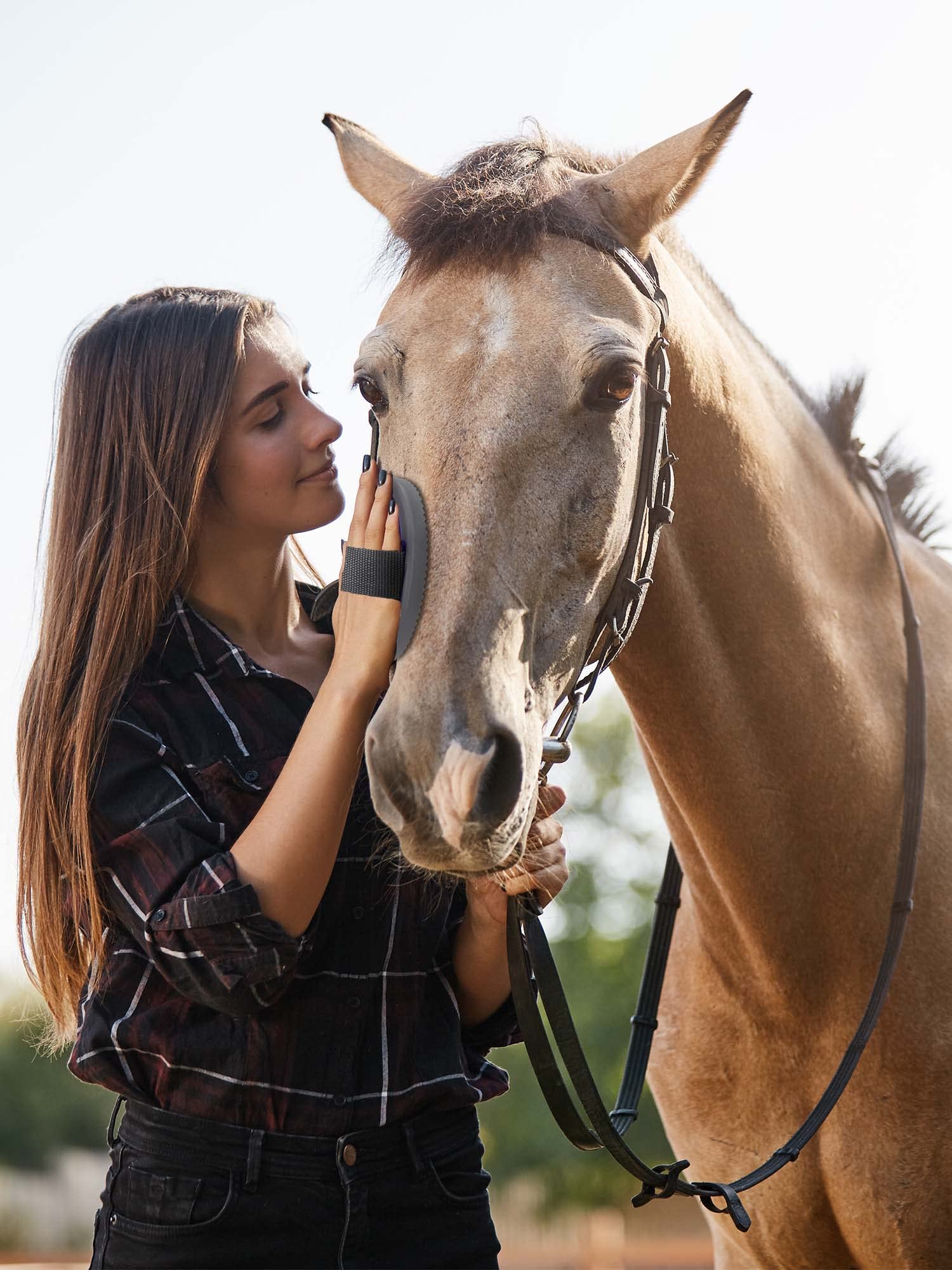 Ueemph horse grooming kit curry comb for lifting dirt and debris.