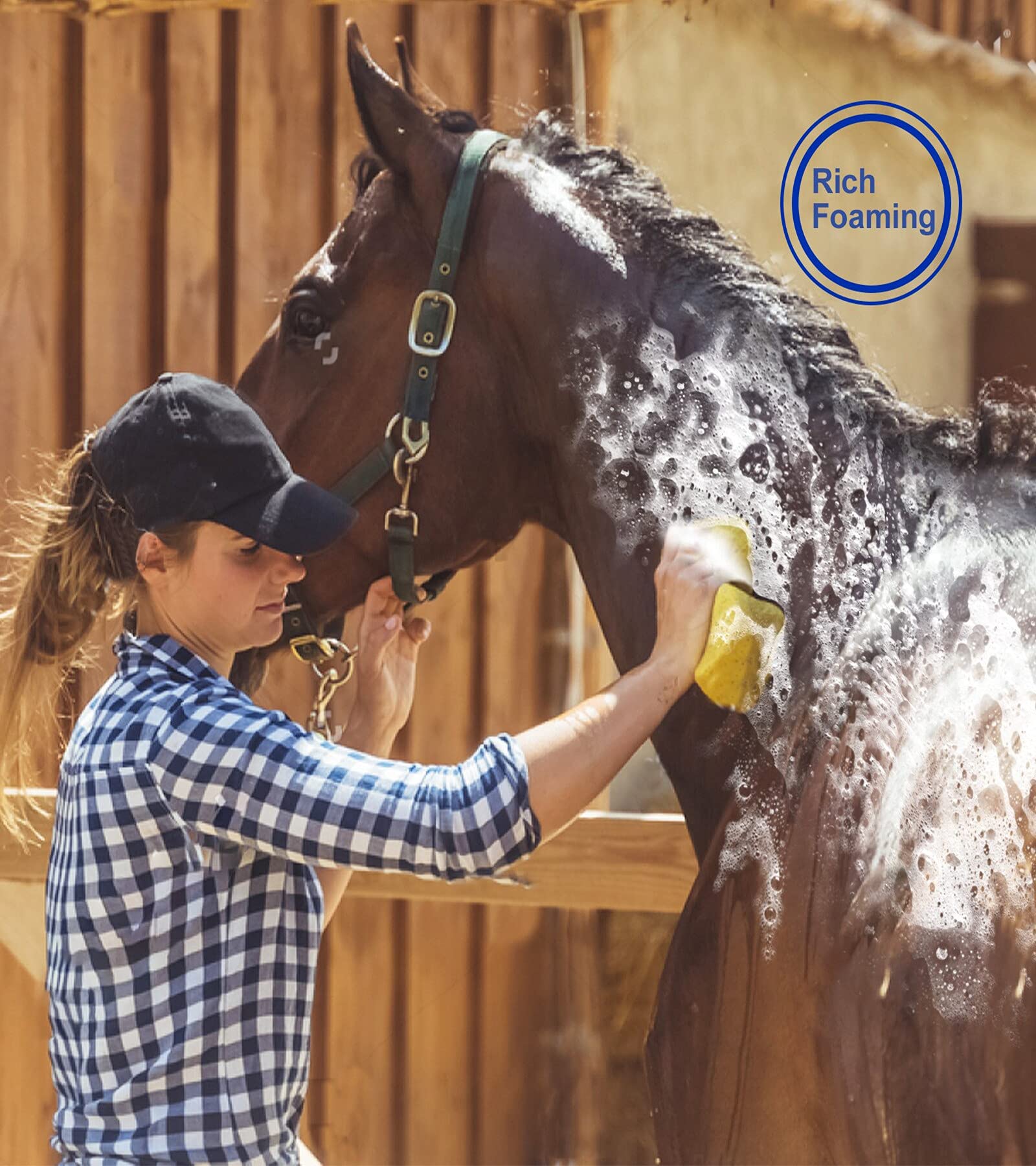 Ueemph horse grooming kit steel comb for neat lines and detangling.