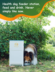 UFelice dog feeder paw-door-mechanism provides easy pet access.
