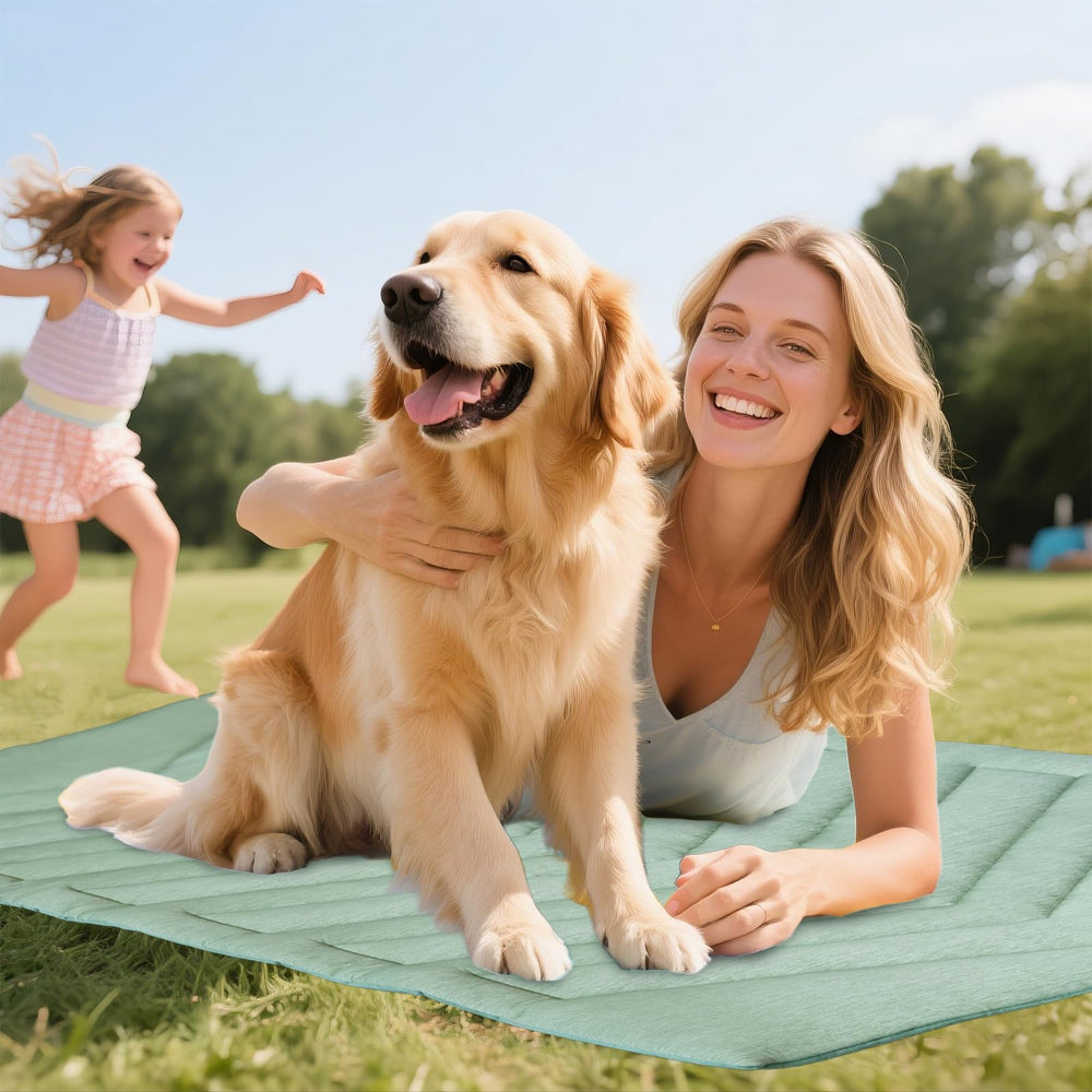 UIQELYS mat in crate and car seat scenario for pets