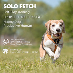 UJQW AutoDog Launcher distance settings show customizable play ranges for any yard.