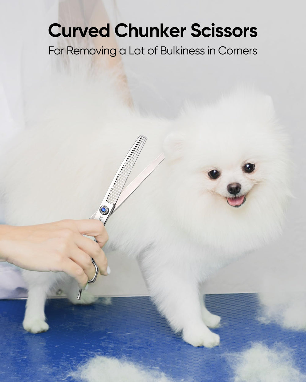 ULG 7.0 curved dog grooming shears in use for grooming session
