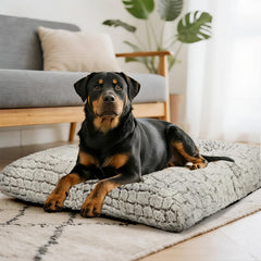 ULIGOTA anti-slip base keeps the bed steady during play.