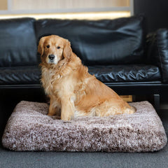 ULIGOTA dog bed features anti-slip bottom to prevent sliding.