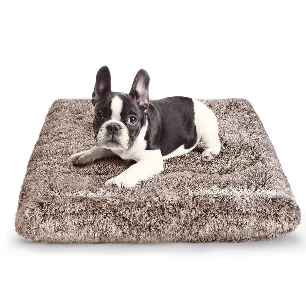 ULIGOTA dog bed plush-top closeup shows ultra-soft surface for cozy naps.