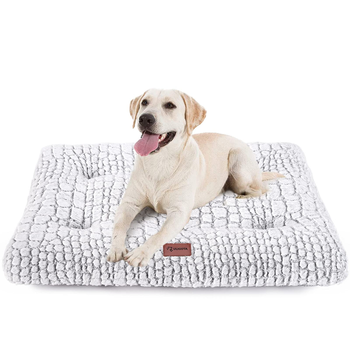 ULIGOTA dog bed with plush-top for cozy naps.