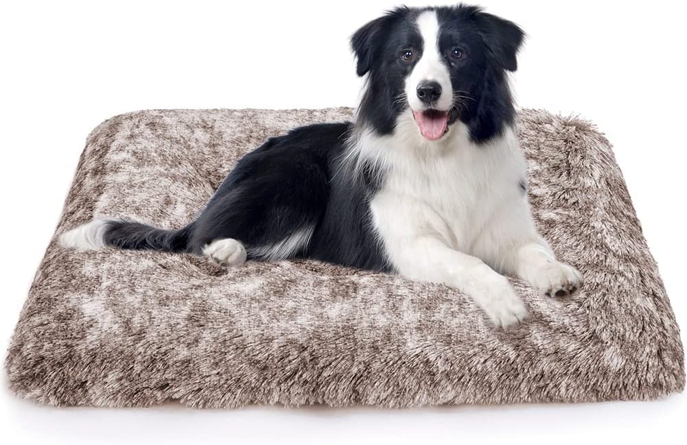 ULIGOTA dog bed soft and cozy scene inviting restful sleep after play.