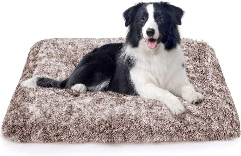 ULIGOTA dog bed soft and cozy scene inviting restful sleep after play.