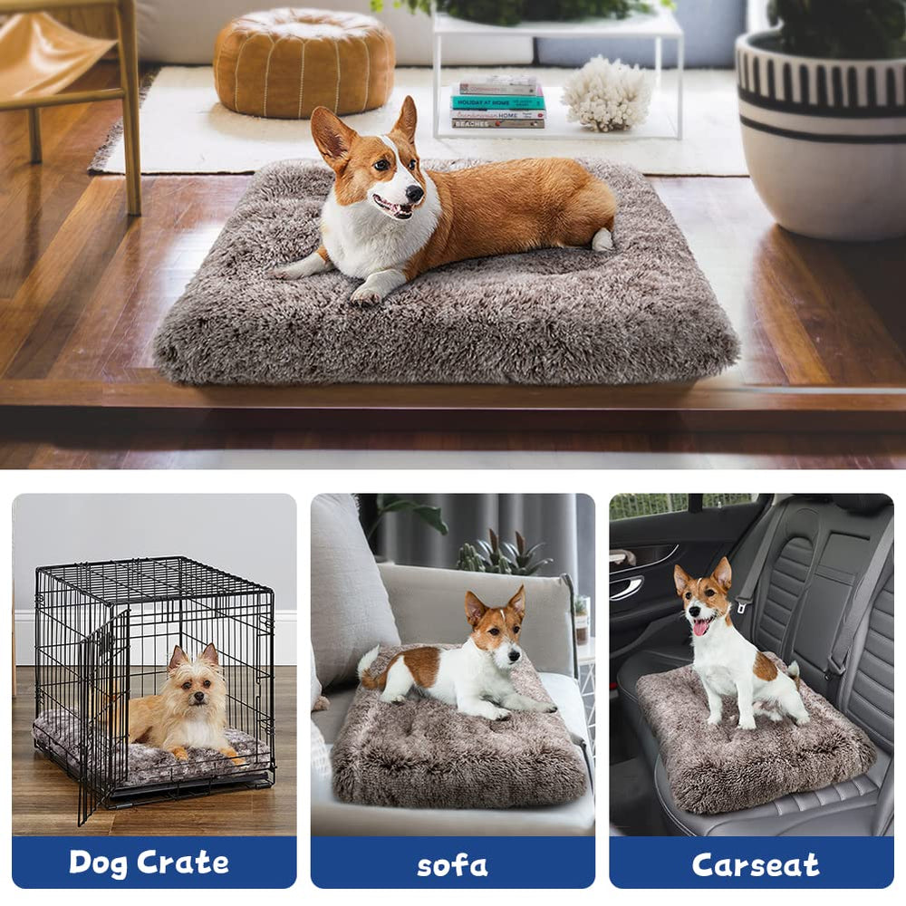 ULIGOTA dog bed is machine-washable for easy cleanup after paws.