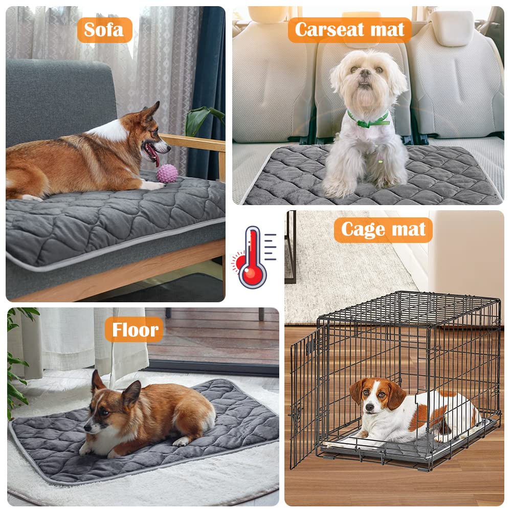 ULIGOTA medium-size bed layout fits cats and small dogs.