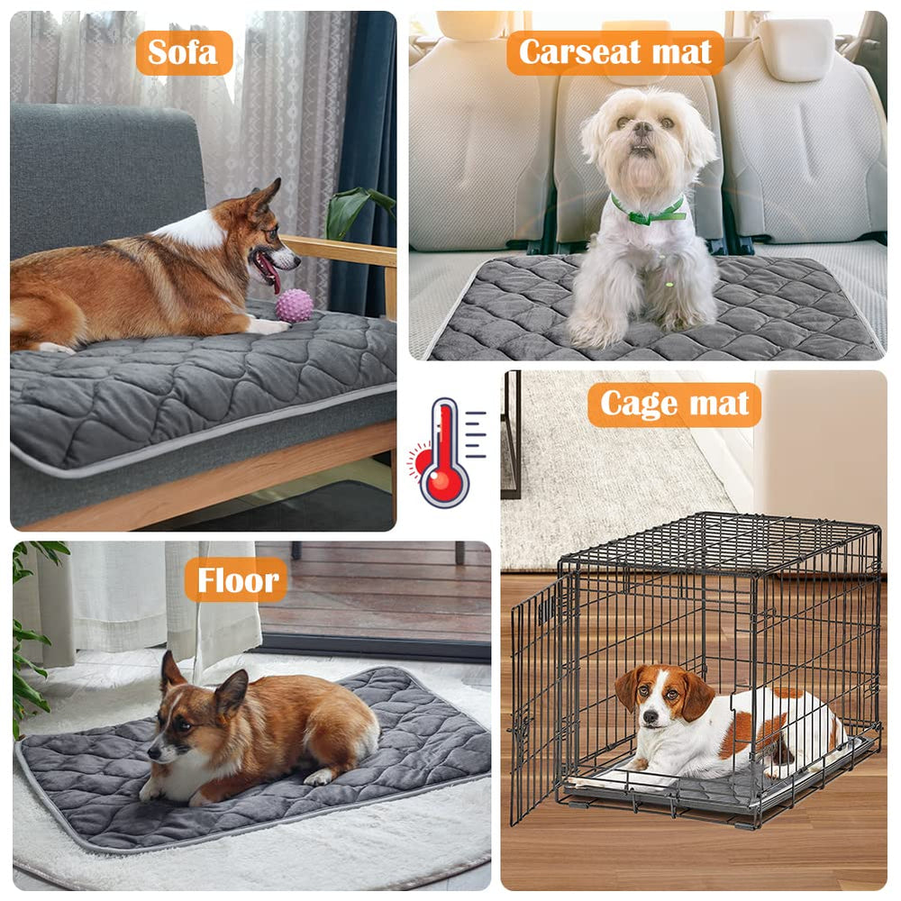 ULIGOTA medium-size bed layout fits cats and small dogs.