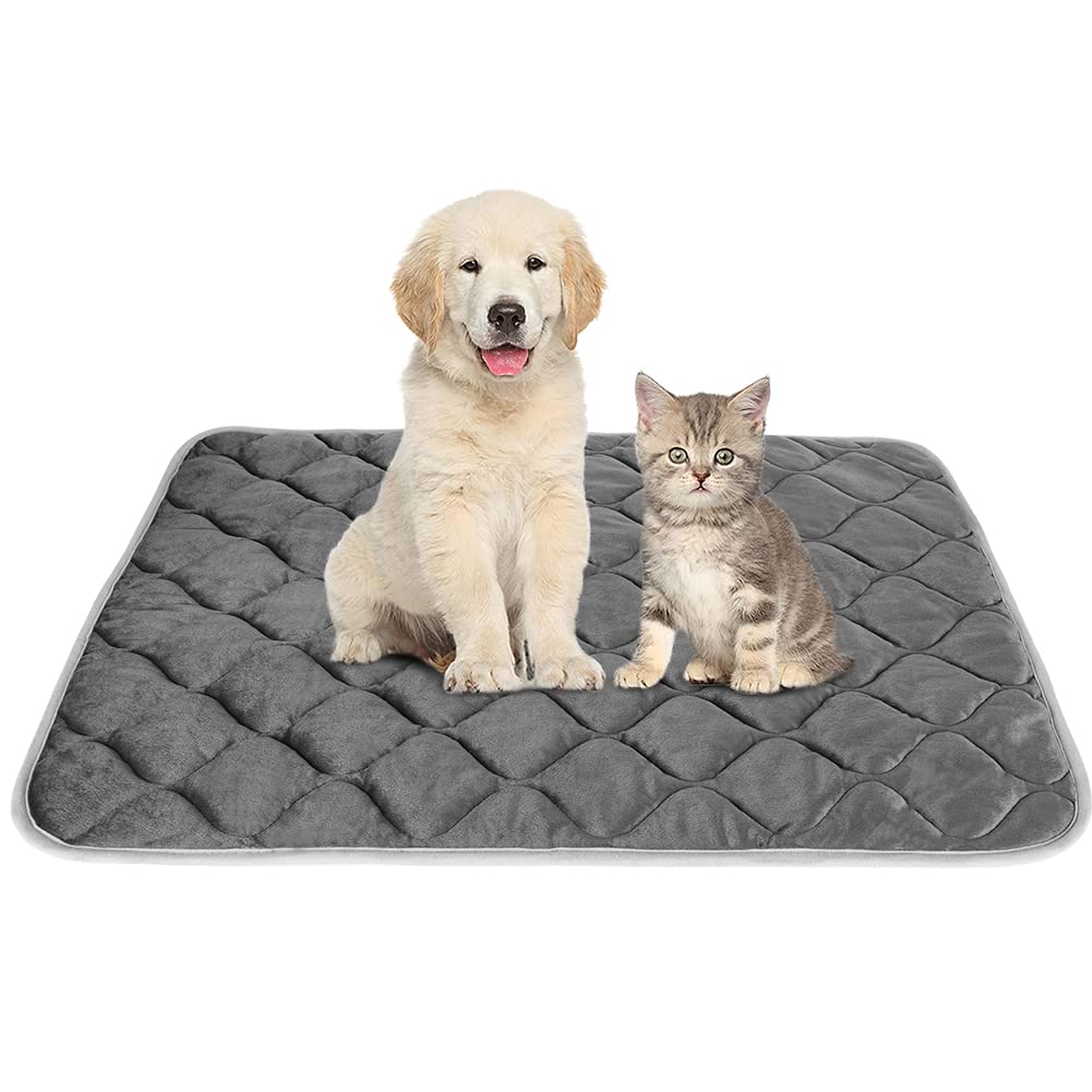 ULIGOTA self-warming cat bed front view with cat curled for warm naps