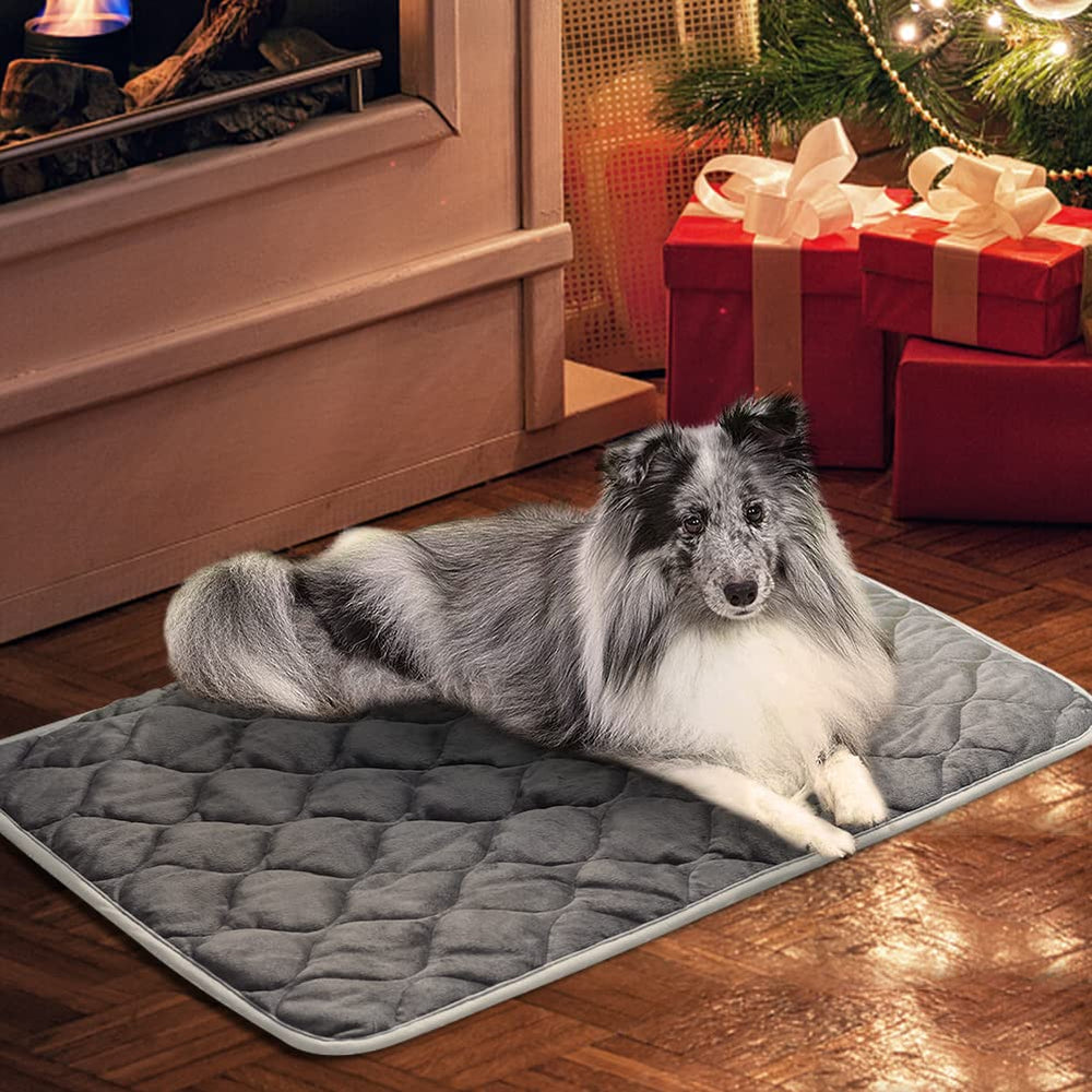ULIGOTA self-warming cat bed in carrier for warm travel