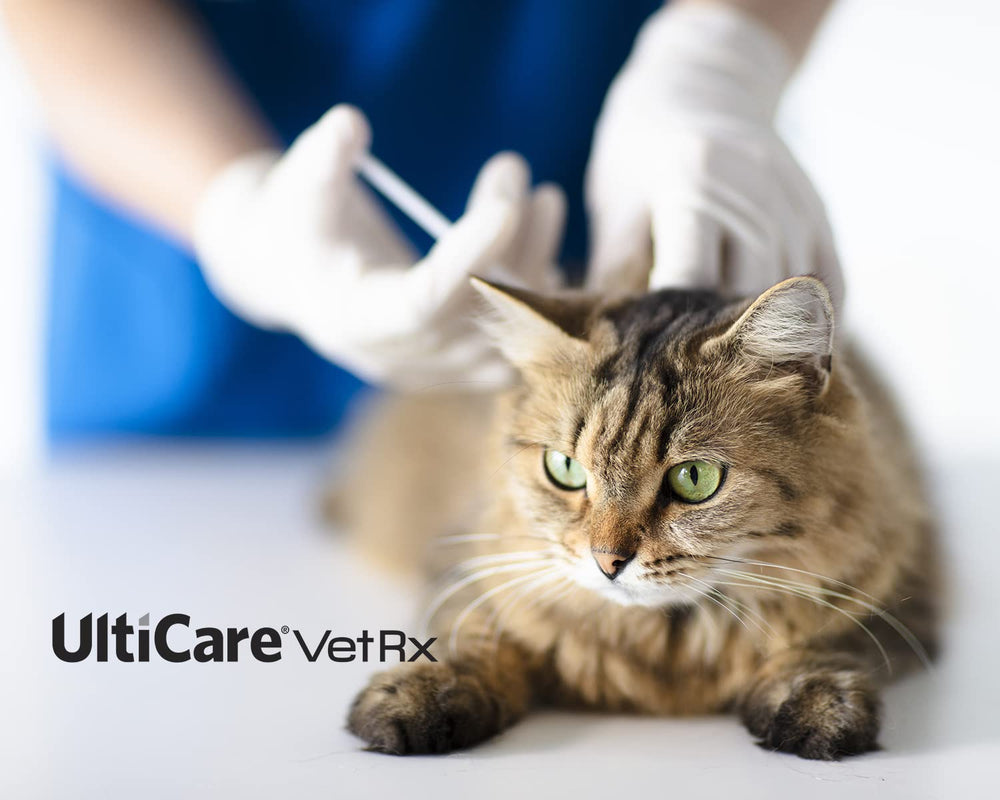 UltiCare VetRx syringe with large barrel flanges for easy grip and dosing.