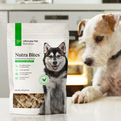 Ultimate Pet Nutrition Nutra Bites food topper bowl demonstrates grain-free, filler-free nourishment to enhance meals.