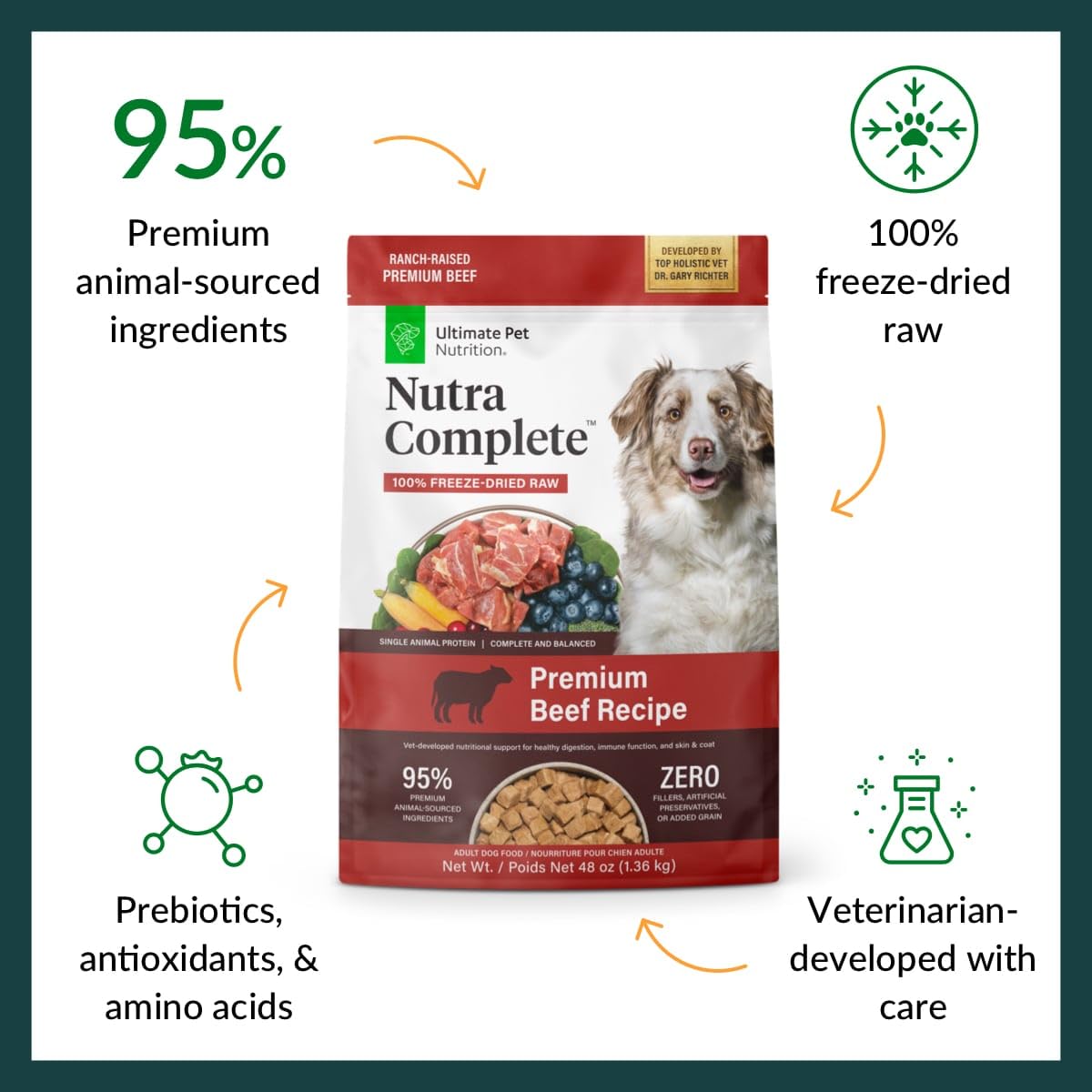 Nutra Complete freeze-dried beef image reveals easily digestible protein for active dogs.