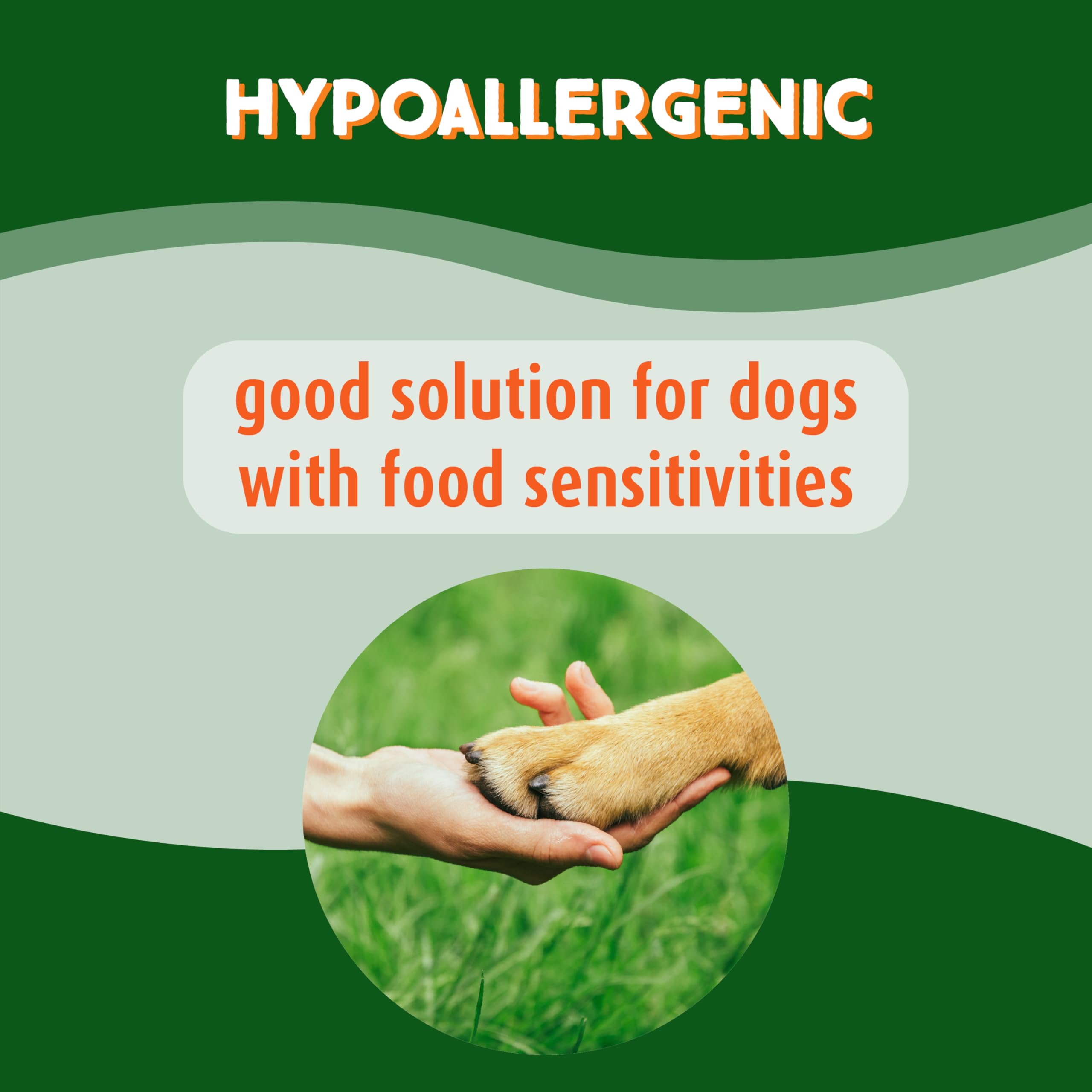 Ultra Chewy collagen sticks dog chew session with an energetic pet enjoying a treat