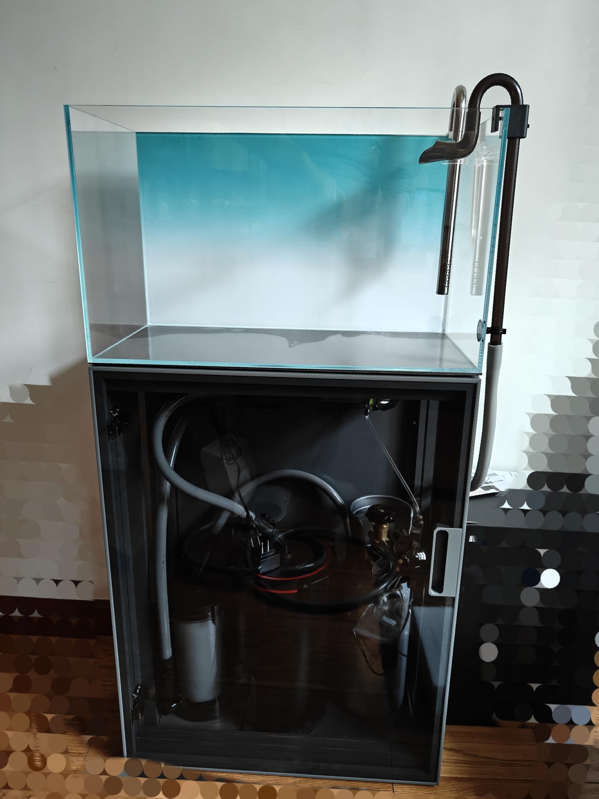 Ultra Clear Rimless Low Iron Aquarium Tank plant and fish display ready for hobbyists.