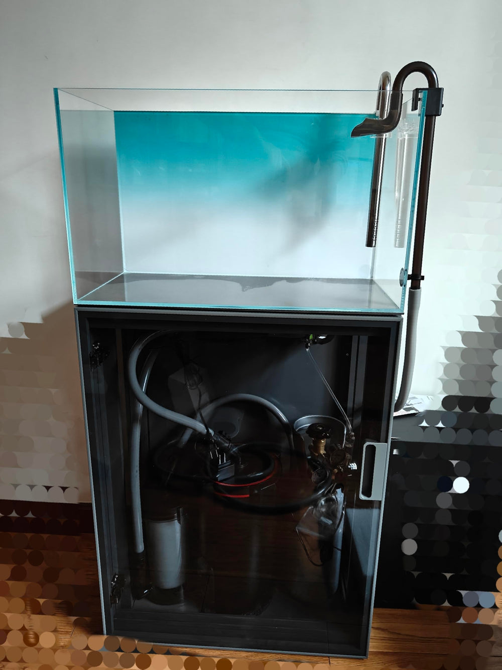 Ultra Clear Rimless Low Iron Aquarium Tank plant and fish display ready for hobbyists.