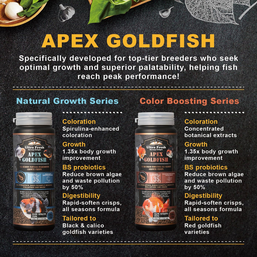 Ultra Fresh Apex Tank View illustrating vibrant color and active goldfish health