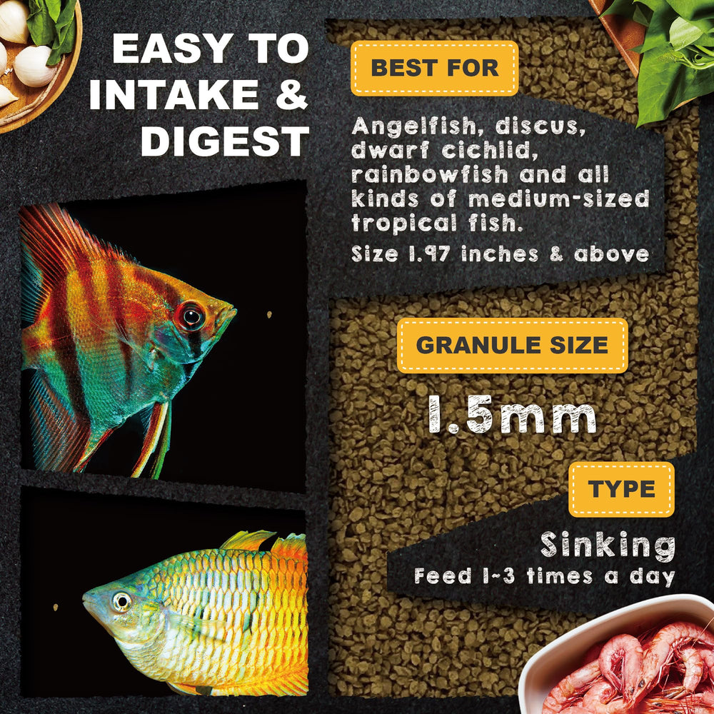 Ultra Fresh ingredients glow in the mix: sword prawns and seaweed.