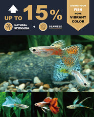 Ultra Fresh color-focused pellet in use suggests richer fins and brighter guppies with balanced nutrition