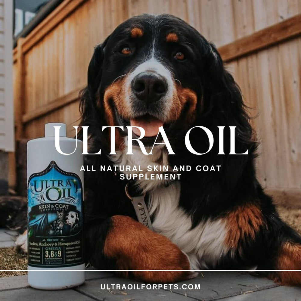 Ultra Oil pet meal dish mixing illustrates easy daily feeding integration