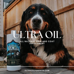 Ultra Oil pet meal dish mixing illustrates easy daily feeding integration