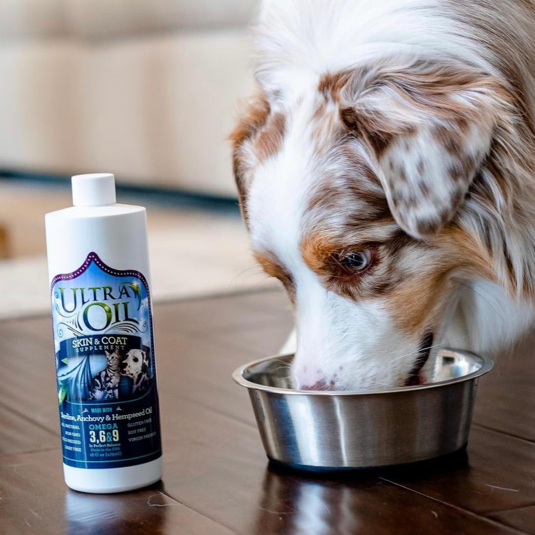 Ultra Oil Skin & Coat dog fur close-up hints at a healthier-looking coat.