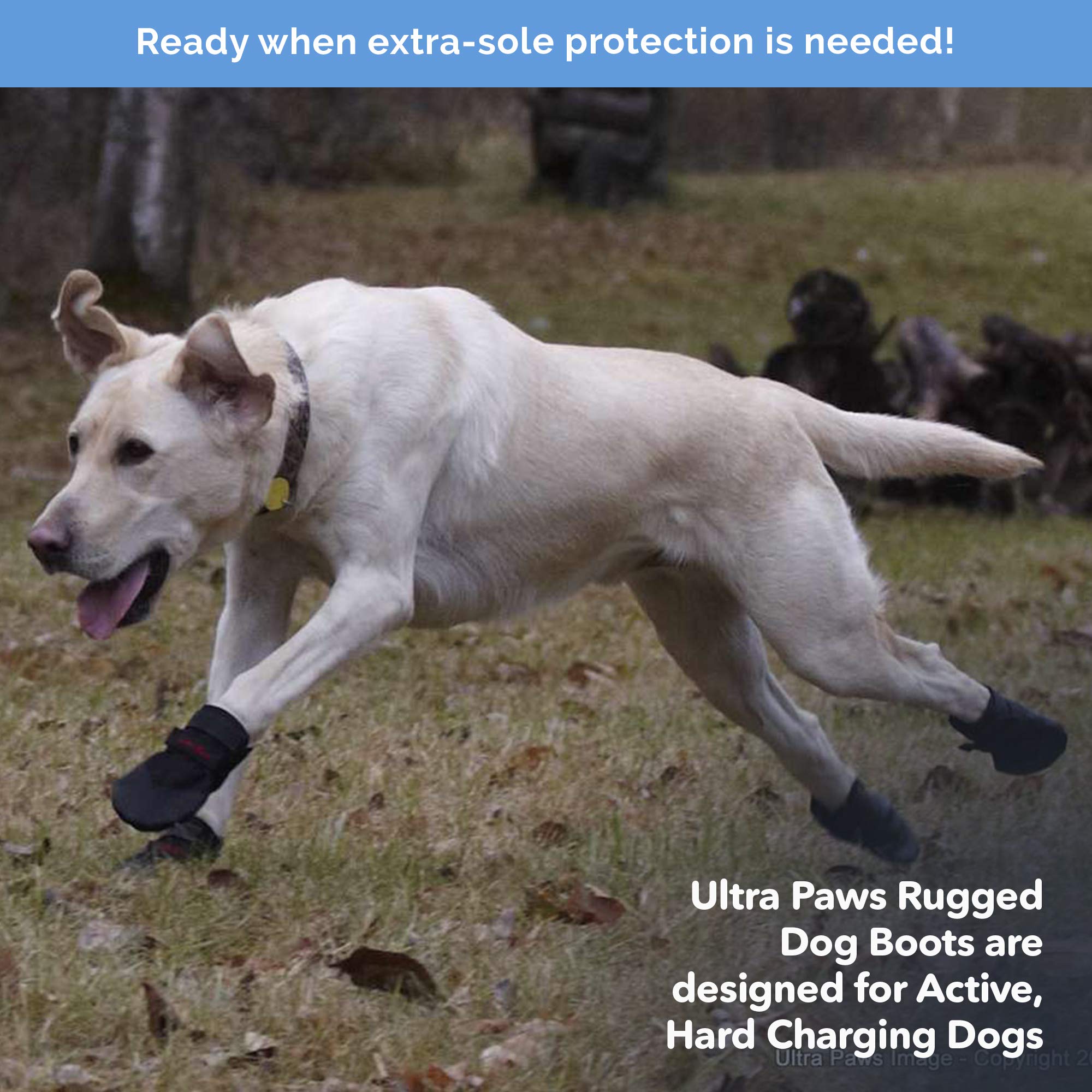 Ultra Paws Rugged Boots size-6 fit-guide image helps with sizing.