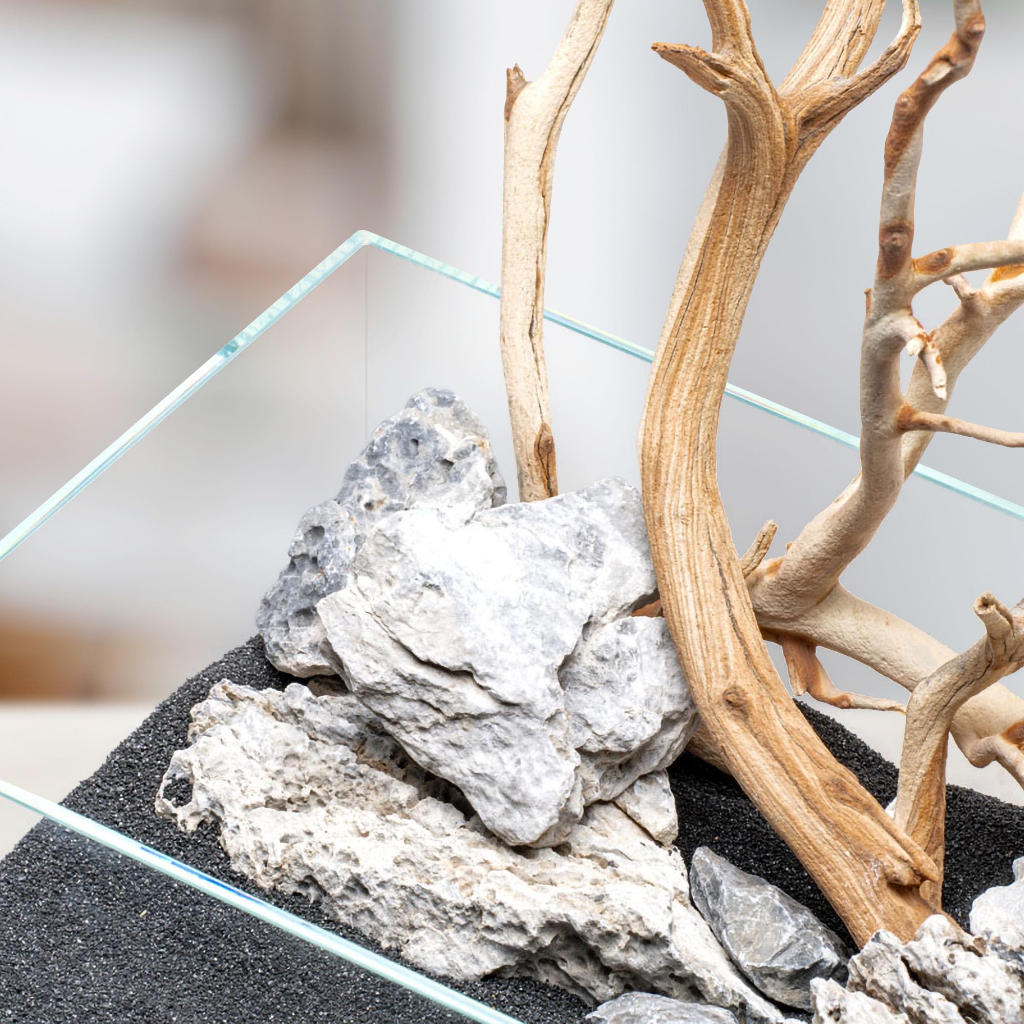 Ultum Controsand Maui 3L driftwood-backdrop scene compatible with natural aquascapes