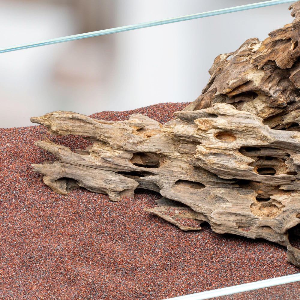 Live shrimp sift through Ultum Nature Systems Controsand Pacifica Gravel in this setup.