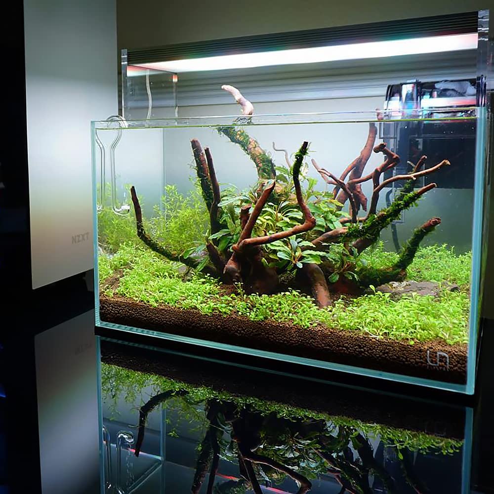 Ultum Nature Systems Controsoil supports fast cycling without added nutrients.